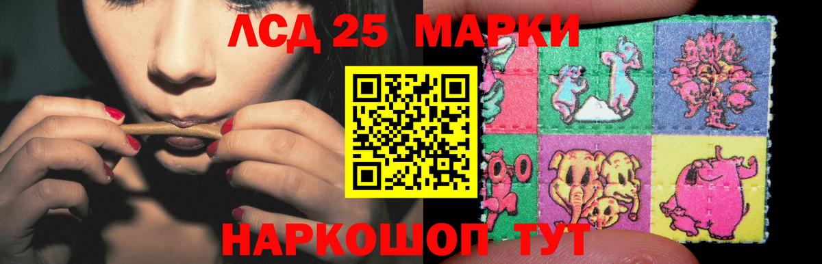 LSD-25 экстази кислота  ЛСД экстази ecstasy  Вход с VPN  OMG как войти  Бердск 